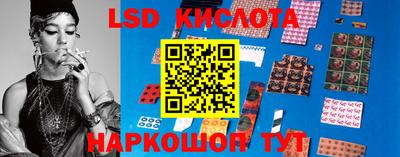 PSILOCYBIN Канаш