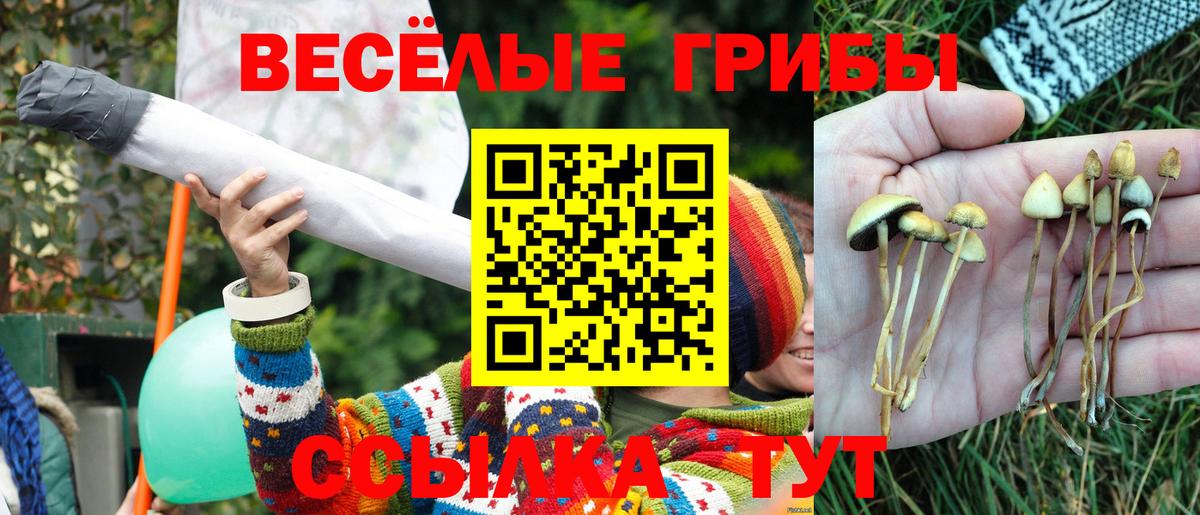Галлюциногенные грибы мухоморы Комсомольск-на-Амуре