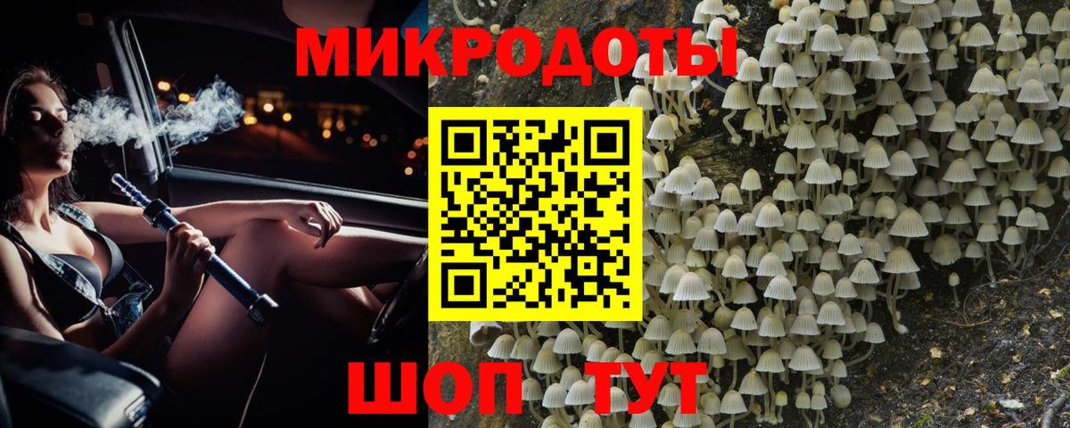 Комсомольск-на-Амуре  Псилоцибиновые грибы Psilocybine cubensis  Вход с VPN 